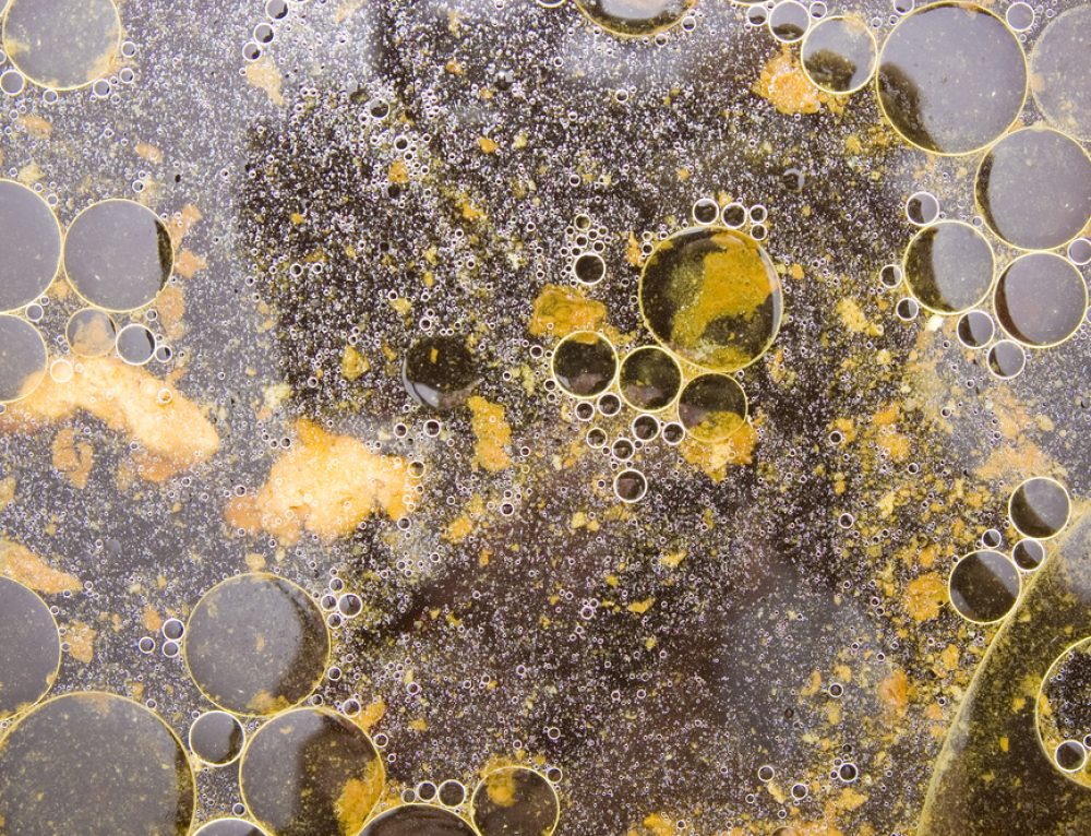 The impact of disposing of fats, oils, and grease in the sewer system