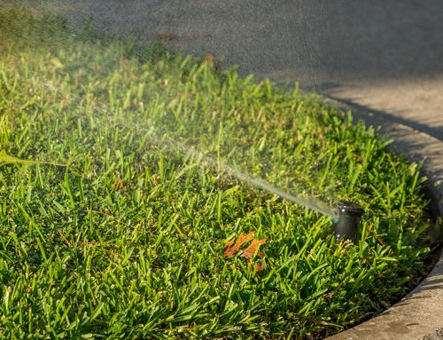 Seven quick and easy irrigation tips