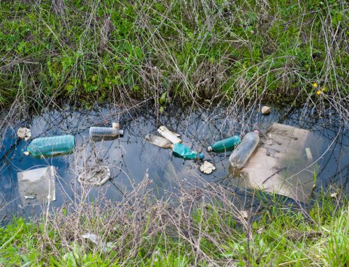 10 Things You Can Do to Prevent Stormwater Runoff Pollution