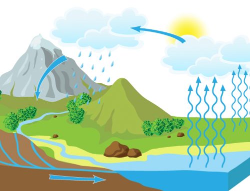 Do you know how the Water Cycle works?