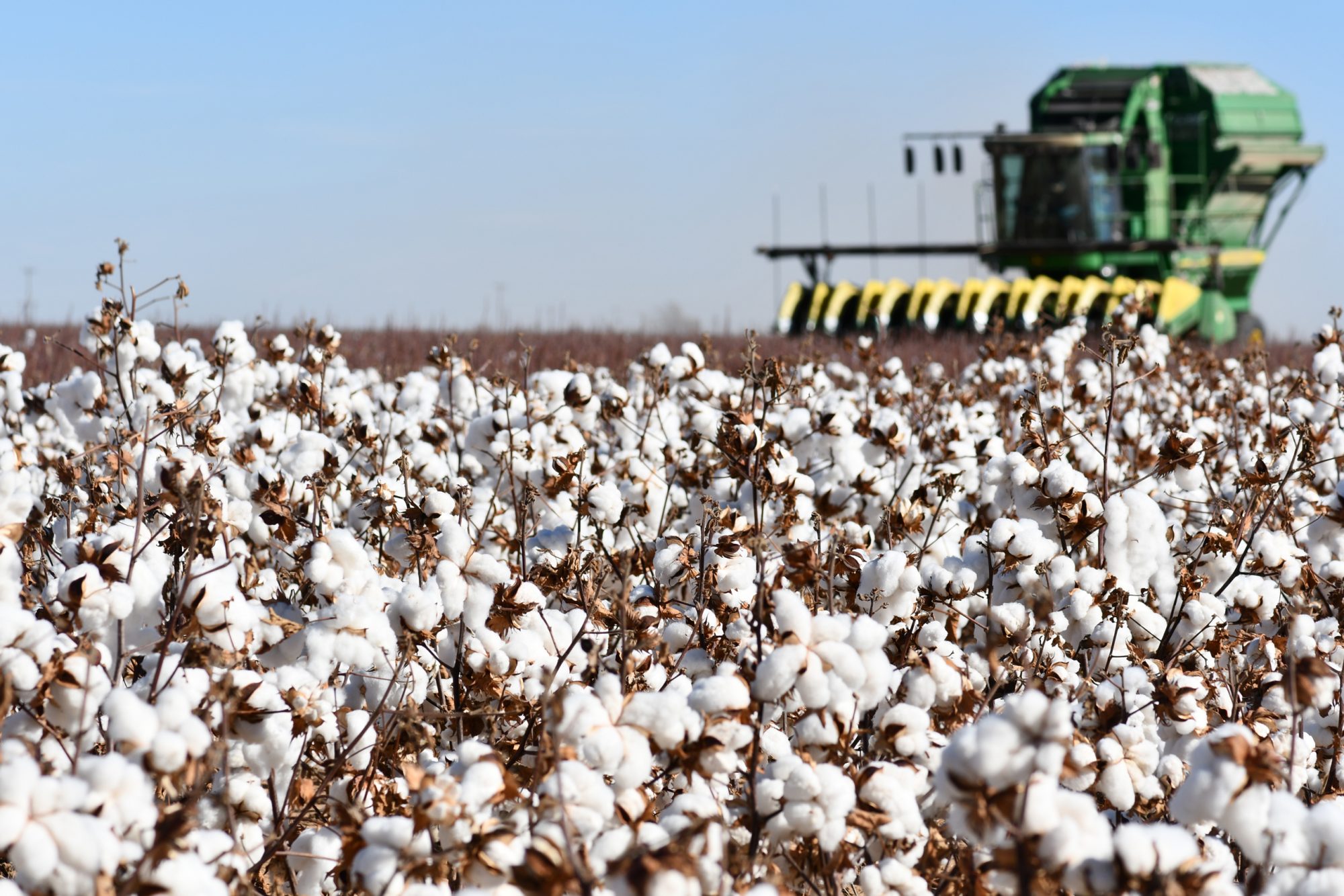 Texas Cotton & Conservation