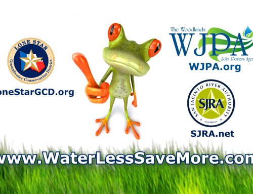 Water Less Save More – Theater Ad