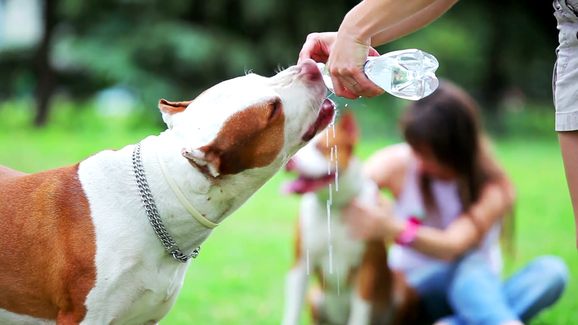 Water! Simply Indispensable!